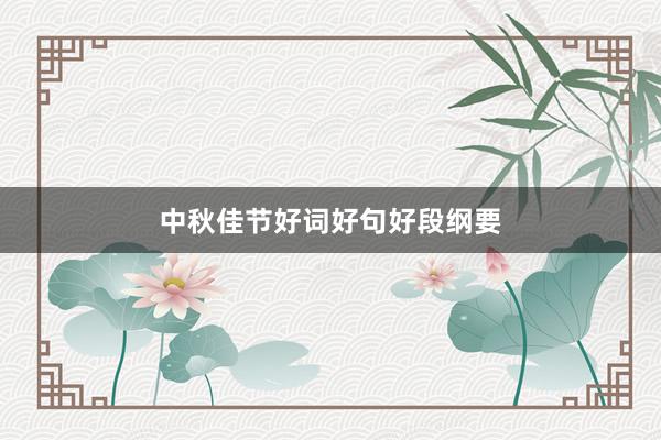 中秋佳节好词好句好段纲要