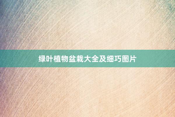 绿叶植物盆栽大全及细巧图片